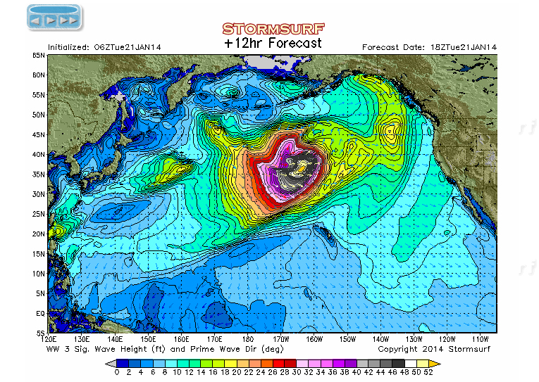 Purple Blob Report: Winter&nbsp;2013/2014