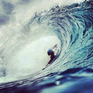 430266_586101558074247_1789069731_n