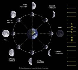 Lunar Phases