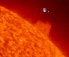 Size comparison. -GSU.edu