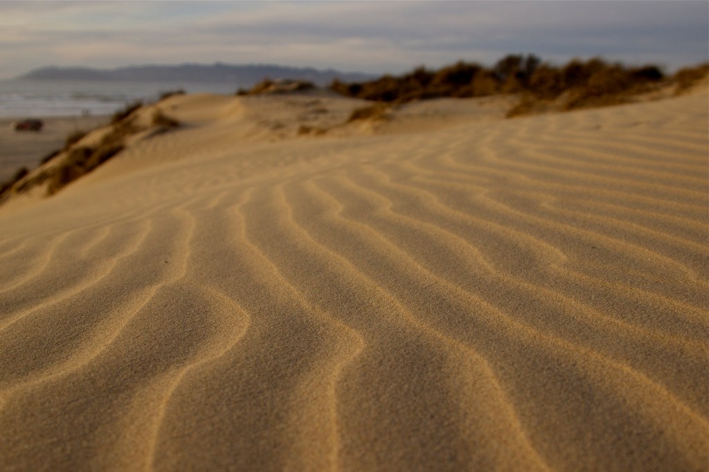 The Science of&nbsp;Sand