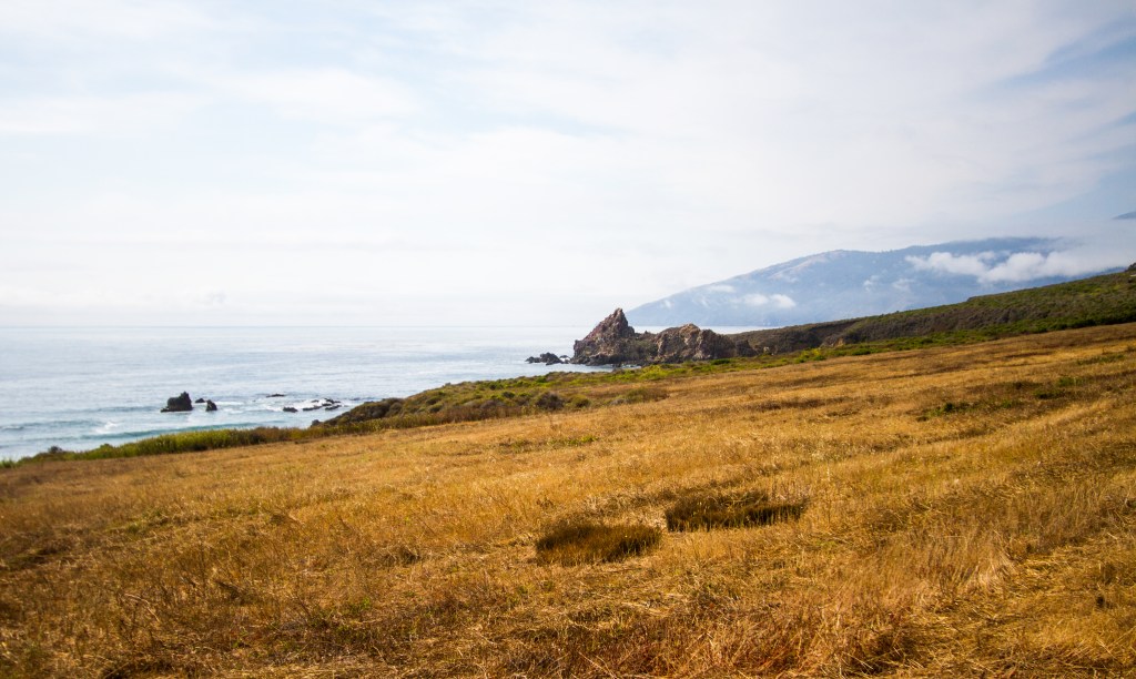 Surf Check! Bodysurfing a New&nbsp;Wave