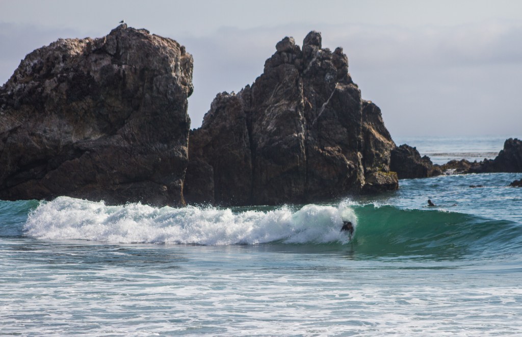 Volume 1 Issue&nbsp;6