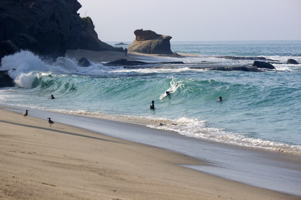 Playing in the&nbsp;Ocean