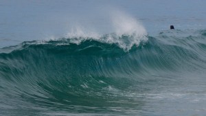 Relatively tame Brutal 