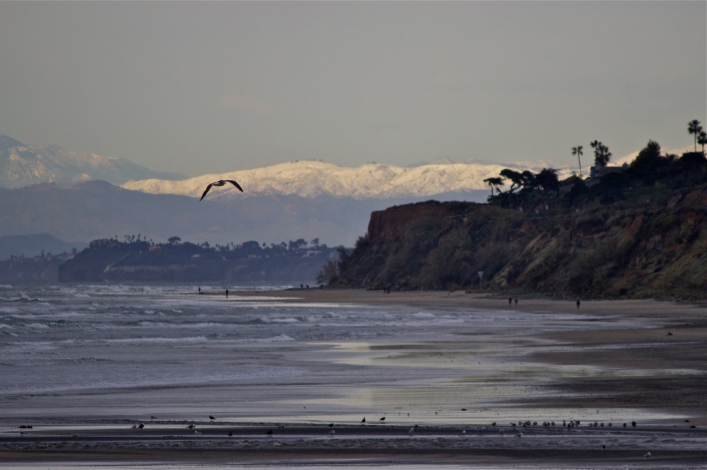 A very cold storm brought the snow level down to 1000' on the night of Dec. 30, 2014.