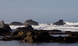 The Maverick's Boneyard 