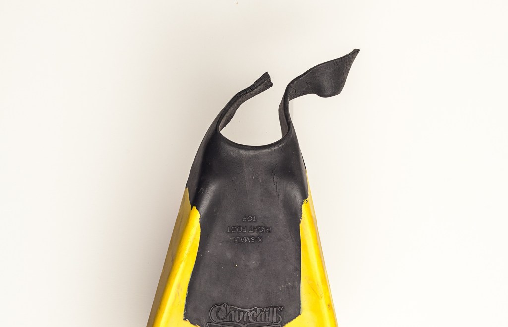 Fin Quiver: Jonathan&nbsp;Steinberg