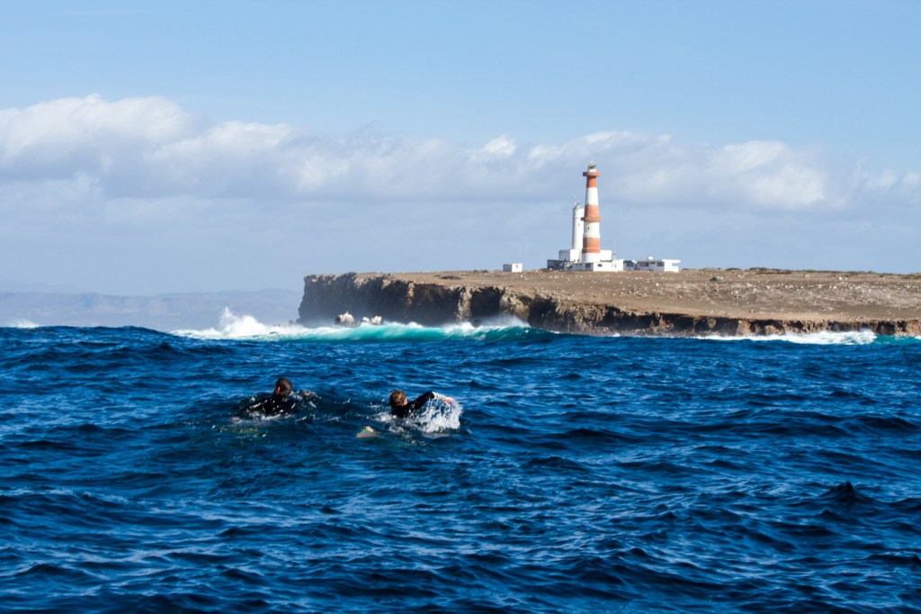 Tripping Fins: Louisiana&nbsp;Edition