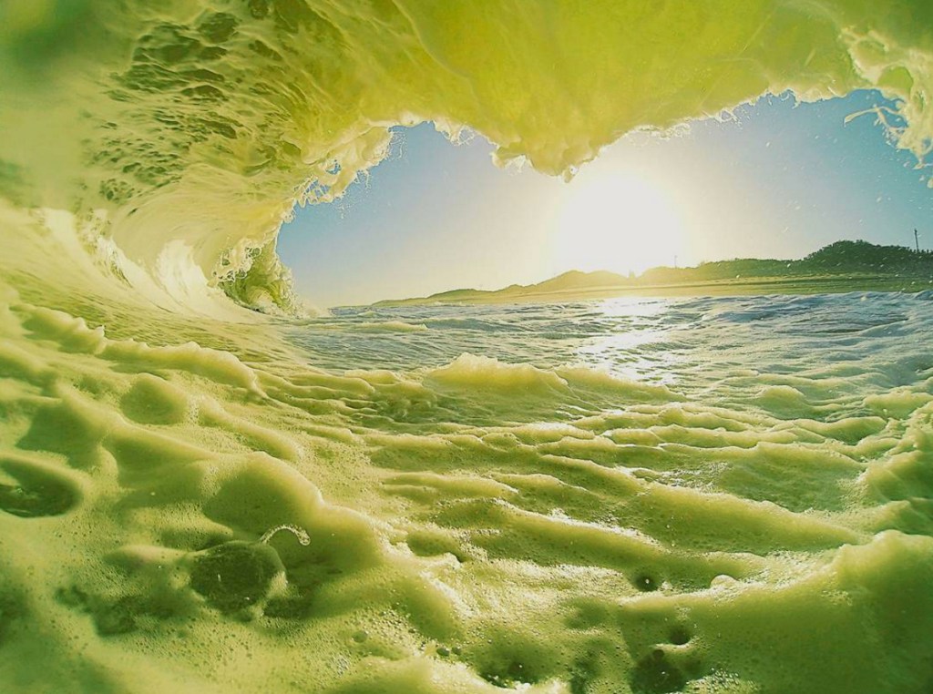 Visions of the Month- February&nbsp;2016