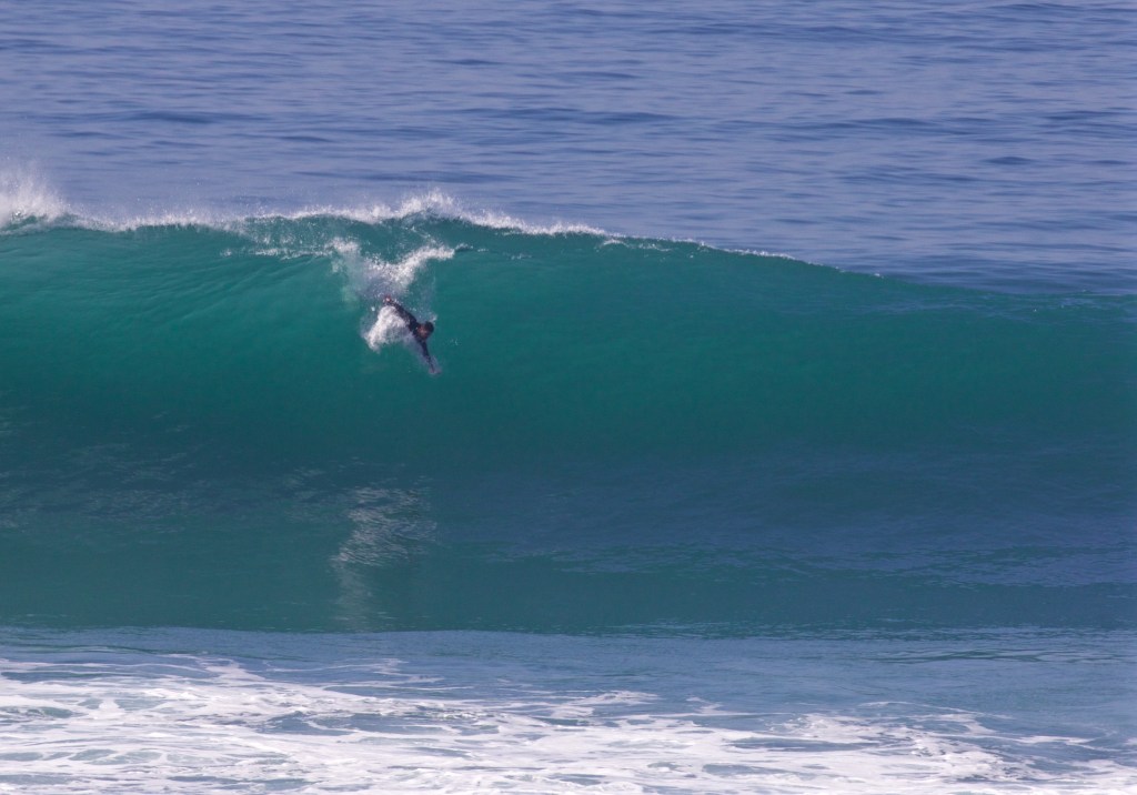 Purple Blob Report: Winter 2016 *In&nbsp;Memoriam