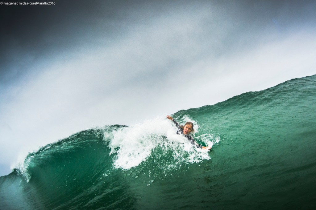 imagensA޺midas2016-6496