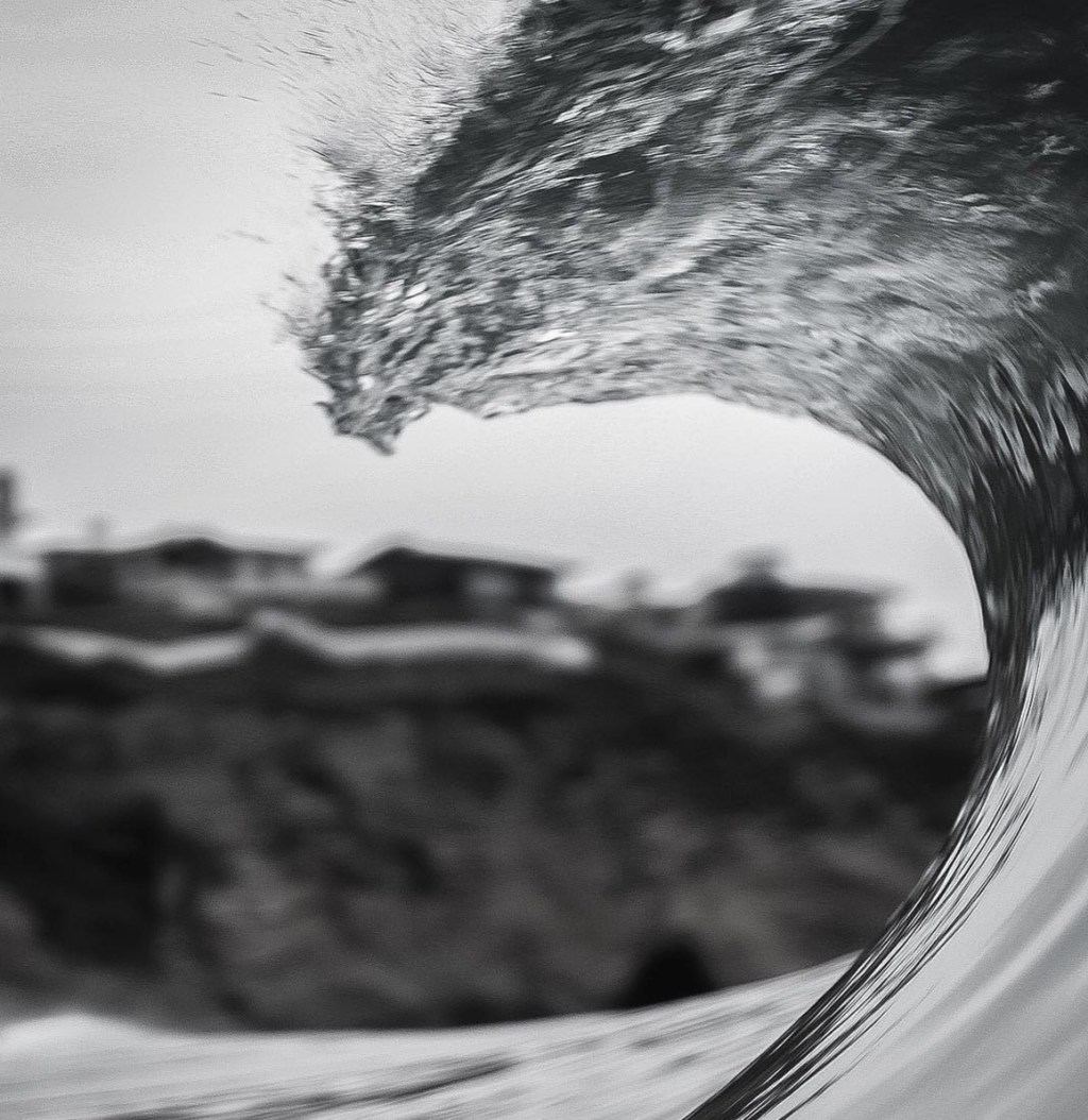 Visions of the Month- Nov.&nbsp;2016