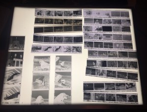 fullsizerender-10-copy