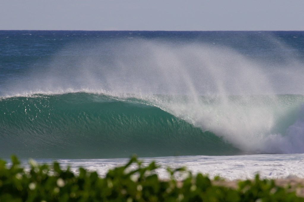 Tripping Fins: Nicaragua