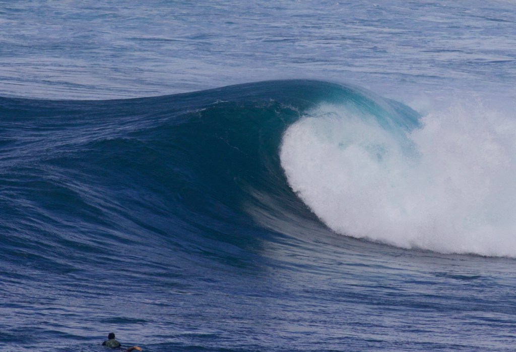 Tripping Fins: Maui