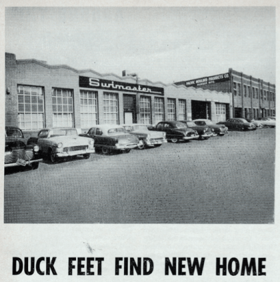 History of Duck Feet Fins