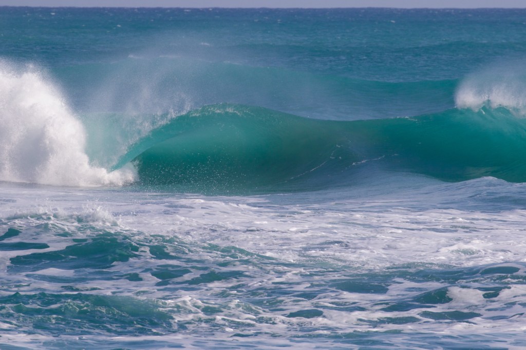 Throwback: A Week in Florida- March 2018