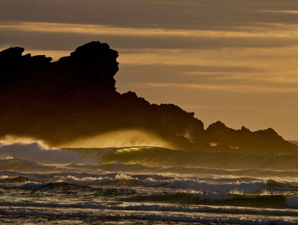 Tripping Fins: Oceania